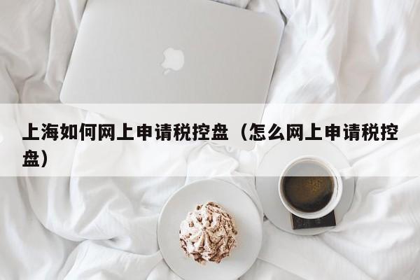 上海如何网上申请税控盘（怎么网上申请税控盘）