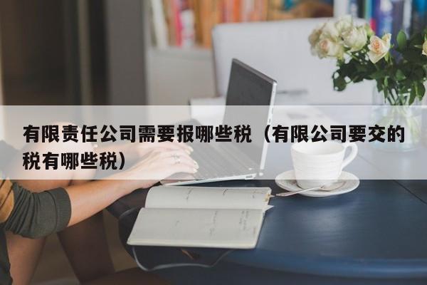 有限责任公司需要报哪些税（有限公司要交的税有哪些税）