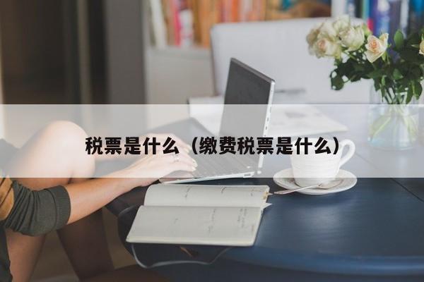 税票是什么（缴费税票是什么）