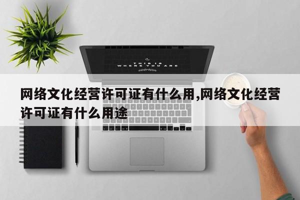 网络文化经营许可证有什么用,网络文化经营许可证有什么用途