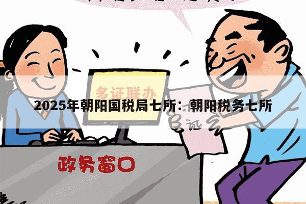 2025年朝阳国税局七所：朝阳税务七所