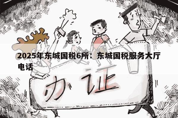 2025年东城国税6所：东城国税服务大厅电话