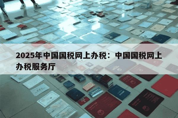 2025年中国国税网上办税：中国国税网上办税服务厅