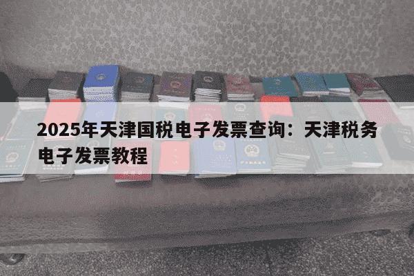 2025年天津国税电子发票查询：天津税务电子发票教程