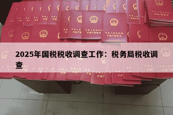 2025年国税税收调查工作：税务局税收调查