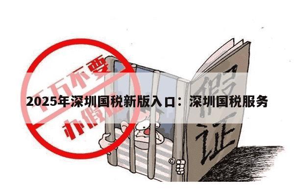 2025年深圳国税新版入口：深圳国税服务