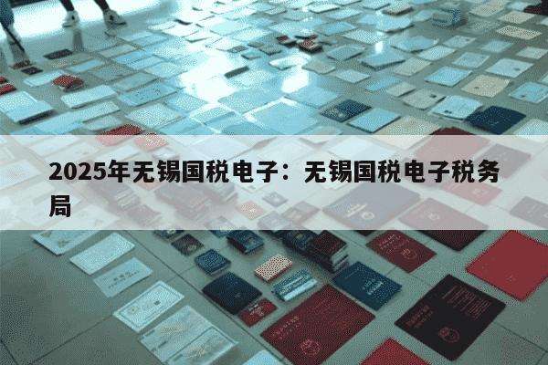2025年无锡国税电子：无锡国税电子税务局