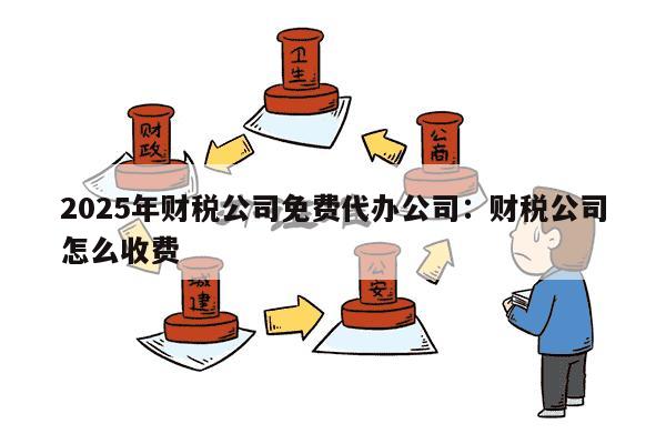 2025年财税公司免费代办公司：财税公司怎么收费